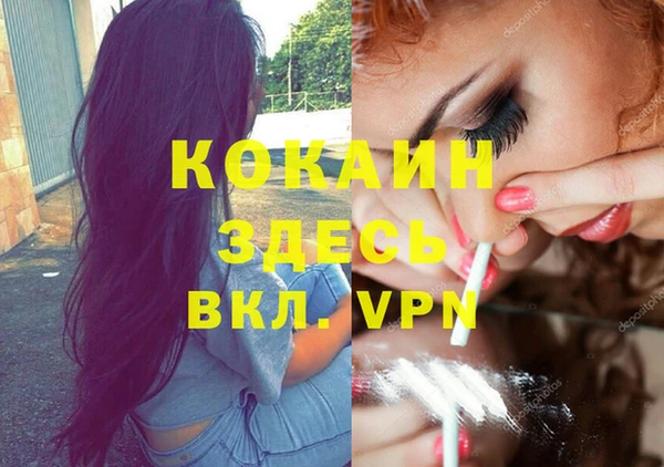 твердый Семилуки