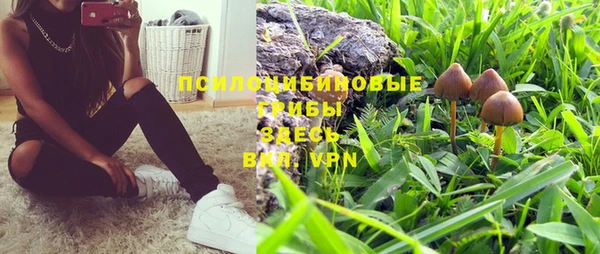 PSILOCYBIN Армянск