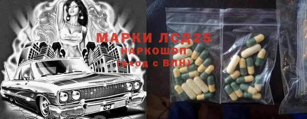 PSILOCYBIN Армянск