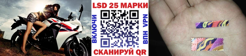 купить  цена  Дорогобуж  MEGA ONION  Марки N-bome 1,8мг 
